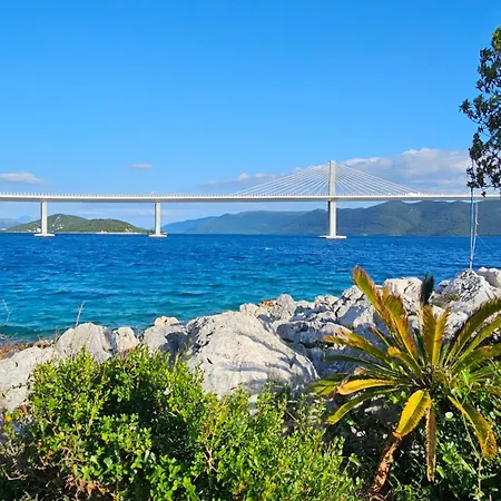 Dalmatino-lion Komarna