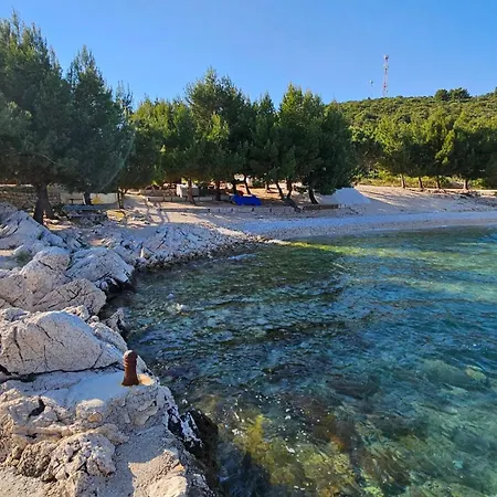 Dalmatino-lion Apartamento