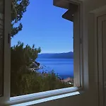 Dalmatino-lion *