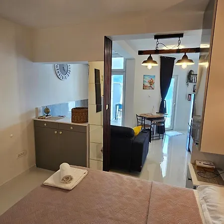 Apartament Dalmatino-lion