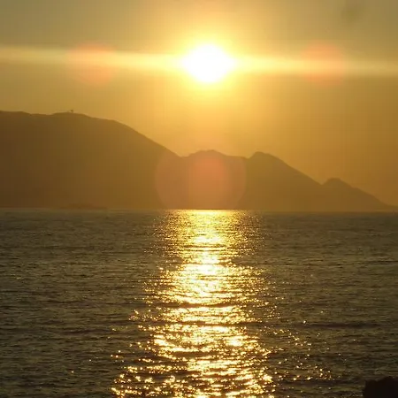 Apartamento Dalmatino-lion