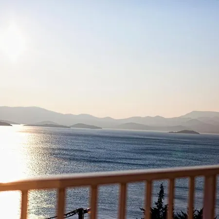 Apartament Dalmatino-lion *