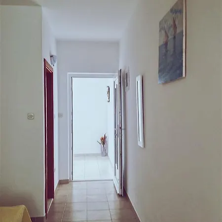 Dalmatino-lion *