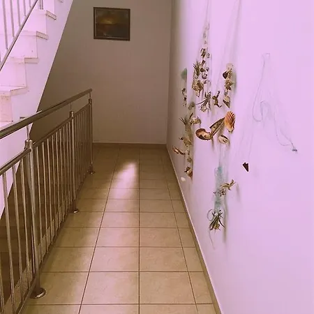 Apartament Dalmatino-lion