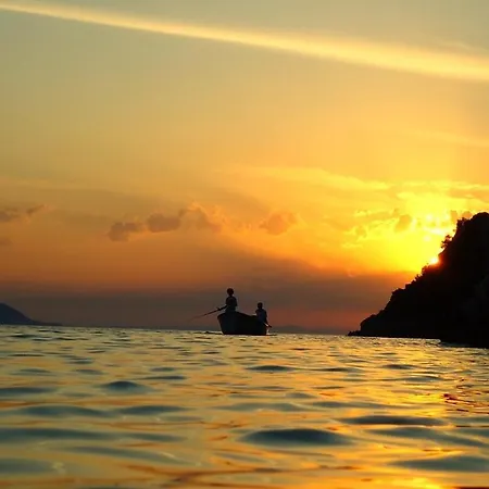 Apartament Dalmatino-lion