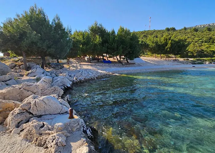 Dalmatino-lion شقة