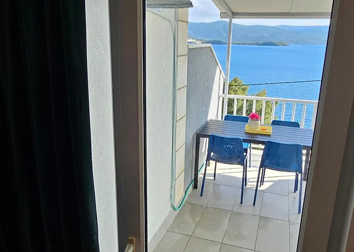 شقة Dalmatino-lion *