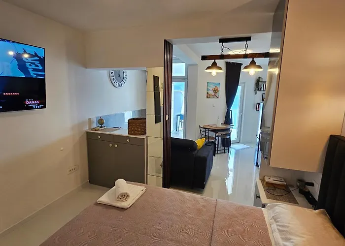 شقة Dalmatino-lion