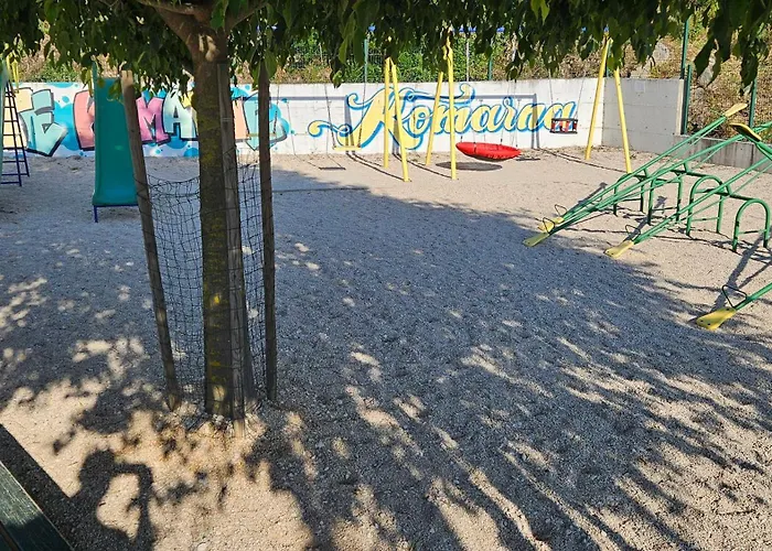 شقة Dalmatino-lion *