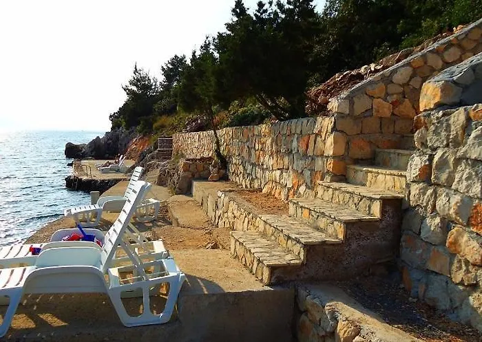 شقة Dalmatino-lion