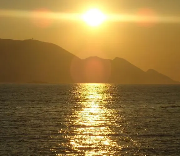 شقة Dalmatino-lion