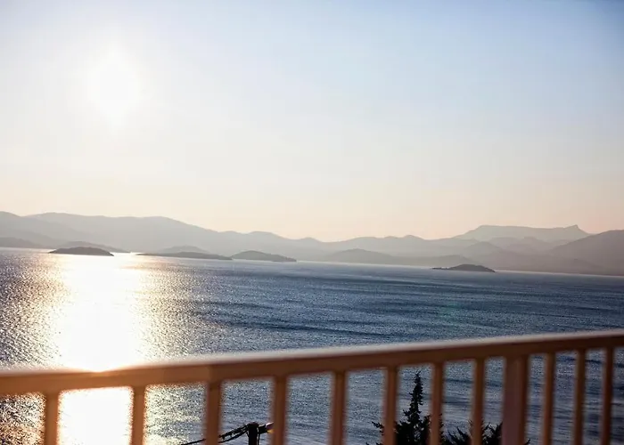 شقة Dalmatino-lion *