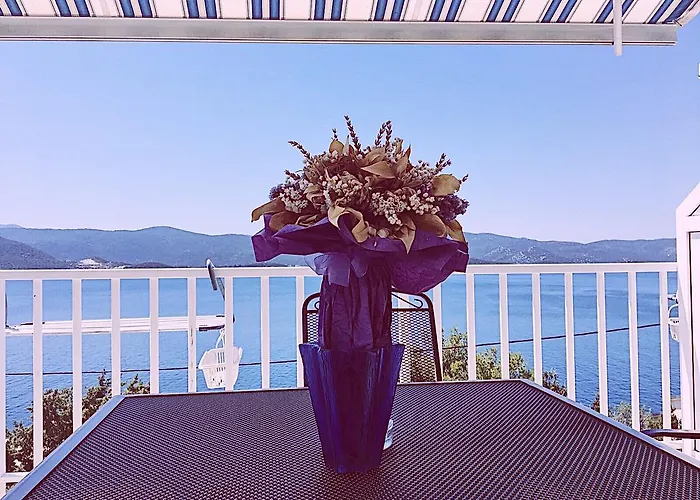 شقة Dalmatino-lion