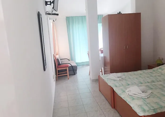 شقة Dalmatino-lion *