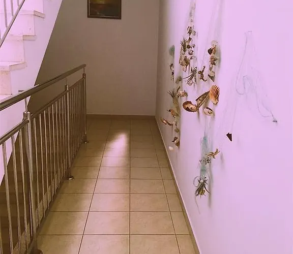 شقة Dalmatino-lion