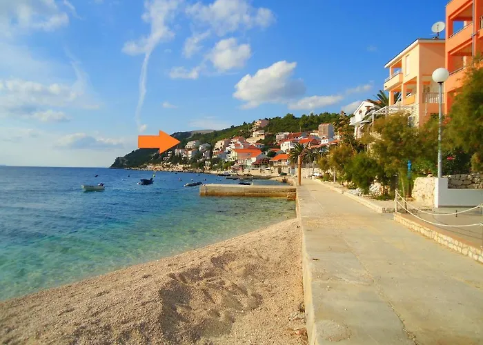 Dalmatino-lion شقة