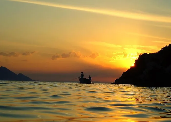 شقة Dalmatino-lion